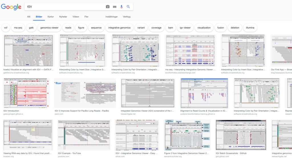 Amazon For The Integrative Genomics Viewer (IGV) | UMCCR Genomics ...